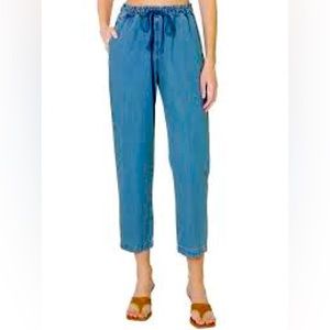 Xirena Rex Denim Pant in Skylark XS